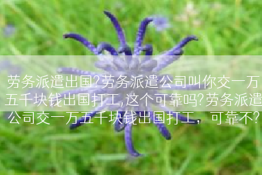 劳务派遣出国?劳务派遣公司叫你交一万五千块钱出国打工,这个可靠吗?劳务派遣公司交一万五千块钱出国打工，可靠不?