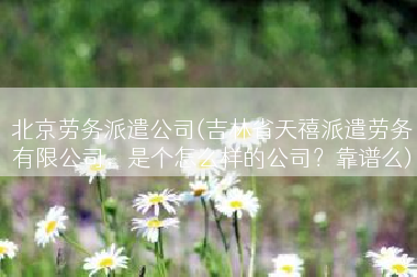 北京劳务派遣公司(吉林省天禧派遣劳务有限公司，是个怎么样的公司？靠谱么)