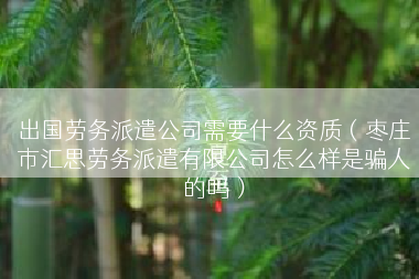 出国劳务派遣公司需要什么资质（枣庄市汇思劳务派遣有限公司怎么样是骗人的吗）