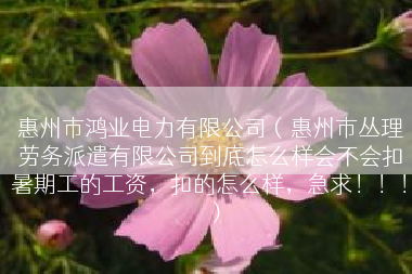 惠州市鸿业电力有限公司（惠州市丛理劳务派遣有限公司到底怎么样会不会扣暑期工的工资，扣的怎么样，急求！！！）