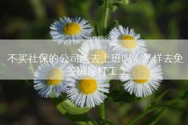 不买社保的公司能去上班吗（怎样去免签国家打工）