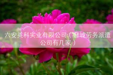六安英科实业有限公司（晋城劳务派遣公司有几家）