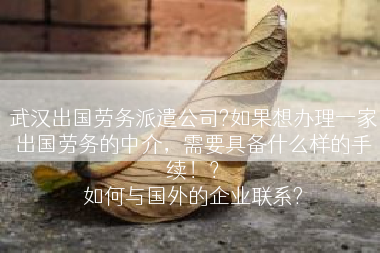 武汉出国劳务派遣公司?如果想办理一家出国劳务的中介，需要具备什么样的手续！？
如何与国外的企业联系?