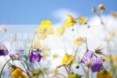 人力资源许可证和劳务派遣许可证区别？我想做一个人力资源服务公司，主要有劳务派遣，人事代理，劳务外包，培训，招聘，用人登记等服务，公司注？