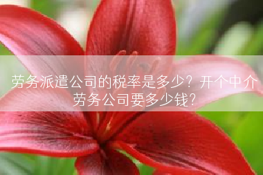 劳务派遣公司的税率是多少？开个中介劳务公司要多少钱？