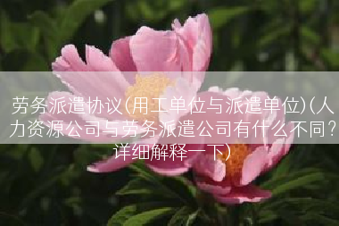 劳务派遣协议(用工单位与派遣单位)(人力资源公司与劳务派遣公司有什么不同？详细解释一下)