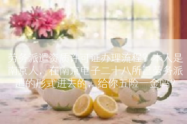 劳务派遣资质许可证办理流程？本人是南京人，在南京电子二十八所已劳务派遣的形式进去的，给你五险一金吗？