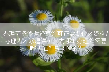 办理劳务派遣经营许可证需要什么资料?办理人才派遣许可证去哪里办理？需要哪些证件资质啥的?