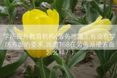学历提升教育机构(劳务派遣工有没有学历方面的要求,派遣168在劳务派遣方面怎么样？)