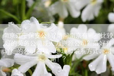 南京江宁保安公司?请问南京有哪些比较好的劳务公司或人力资源公司？最好有详细的公司名称、地址和联系方式，谢谢！?