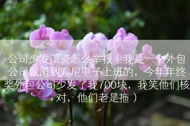 公司少发工资怎么举报（我是一个外包公司派遣到索尼电子上班的，今年年终奖外包公司少发了我700块，我笑他们核对，他们老是拖）
