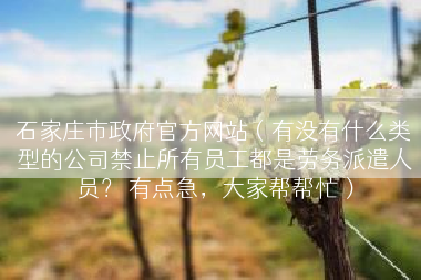 石家庄市政府官方网站（有没有什么类型的公司禁止所有员工都是劳务派遣人员？ 有点急，大家帮帮忙）