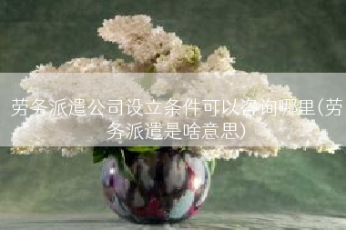劳务派遣公司设立条件可以咨询哪里(劳务派遣是啥意思)