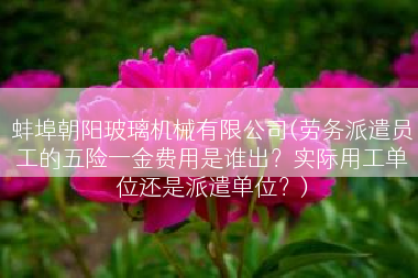 蚌埠朝阳玻璃机械有限公司(劳务派遣员工的五险一金费用是谁出？实际用工单位还是派遣单位？)