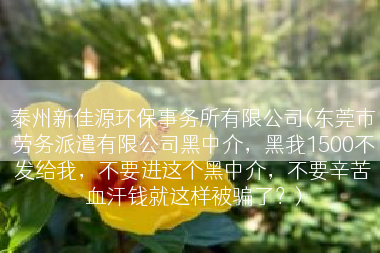 泰州新佳源环保事务所有限公司(东莞市劳务派遣有限公司黑中介，黑我1500不发给我，不要进这个黑中介，不要辛苦血汗钱就这样被骗了？)