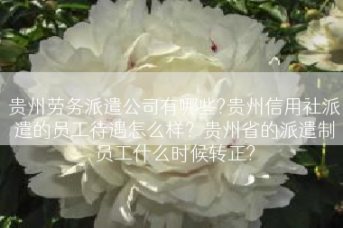 贵州劳务派遣公司有哪些?贵州信用社派遣的员工待遇怎么样？贵州省的派遣制员工什么时候转正?