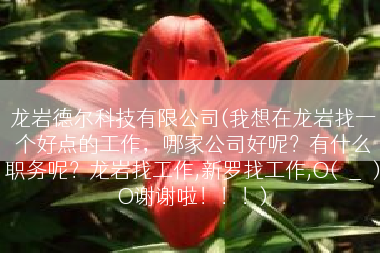 龙岩德尔科技有限公司(我想在龙岩找一个好点的工作，哪家公司好呢？有什么职务呢？龙岩找工作,新罗找工作,O(∩_∩)O谢谢啦！！！)
