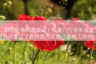 国际劳务派遣公司（在厦门与劳务派遣公司签订了合同还可以自己去找工作吗、、、）