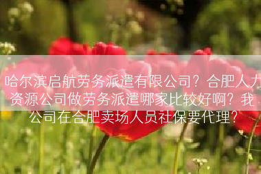 哈尔滨启航劳务派遣有限公司？合肥人力资源公司做劳务派遣哪家比较好啊？我公司在合肥卖场人员社保要代理？