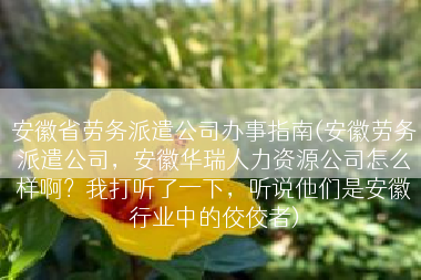 安徽省劳务派遣公司办事指南(安徽劳务派遣公司，安徽华瑞人力资源公司怎么样啊？我打听了一下，听说他们是安徽行业中的佼佼者)
