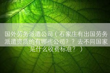 国外劳务派遣公司（石家庄有出国劳务派遣资质的有哪些公司？？去不同国家是什么收费标准？）