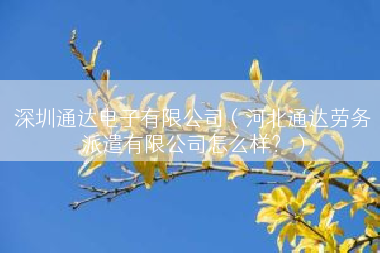 深圳通达电子有限公司（河北通达劳务派遣有限公司怎么样？）