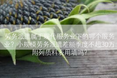 劳务派遣属于现代服务业下的哪个服务业？小规模劳务派遣差额季度不超30万附列质料表用填吗？