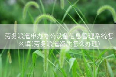 劳务派遣申办办公设备信息管理系统怎么填(劳务派遣资质怎么办理)