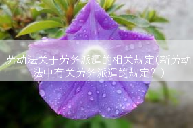 劳动法关于劳务派遣的相关规定(新劳动法中有关劳务派遣的规定？)