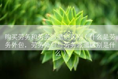 购买劳务和劳务派遣的区别（什么是劳务外包，劳务外包与劳务派遣区别是什么）