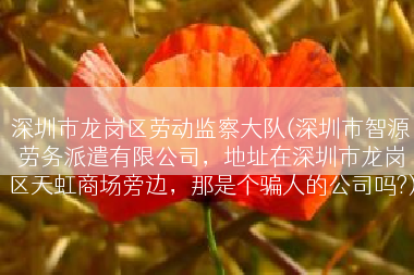 深圳市龙岗区劳动监察大队(深圳市智源劳务派遣有限公司，地址在深圳市龙岗区天虹商场旁边，那是个骗人的公司吗?)