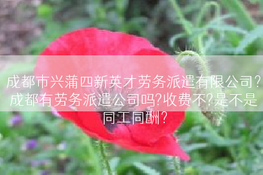 成都市兴蒲四新英才劳务派遣有限公司？成都有劳务派遣公司吗?收费不?是不是同工同酬？