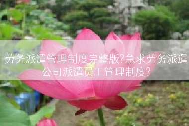 劳务派遣管理制度完整版?急求劳务派遣公司派遣员工管理制度?
