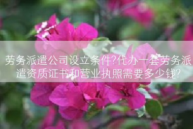 劳务派遣公司设立条件?代办一套劳务派遣资质证书和营业执照需要多少钱?