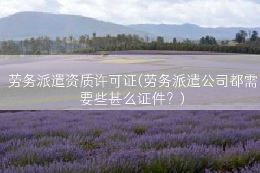 劳务派遣资质许可证(劳务派遣公司都需要些甚么证件？)