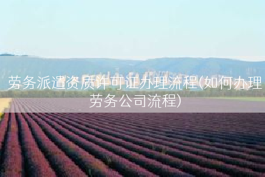 劳务派遣资质许可证办理流程(如何办理劳务公司流程)