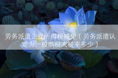 劳务派遣企业所得税减免（劳务派遣认定为一般纳税人税率多少）