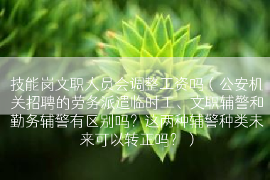 技能岗文职人员会调整工资吗（公安机关招聘的劳务派遣临时工、文职辅警和勤务辅警有区别吗？这两种辅警种类未来可以转正吗？）