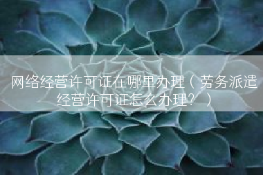网络经营许可证在哪里办理（劳务派遣经营许可证怎么办理？）