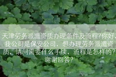 天津劳务派遣资质办理条件及流程?你好，我公司是保安公司，想办理劳务派遣资质，请问需要什么手续，流程是怎样的？谢谢回答?