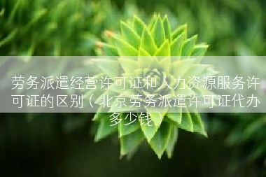劳务派遣经营许可证和人力资源服务许可证的区别（北京劳务派遣许可证代办多少钱）