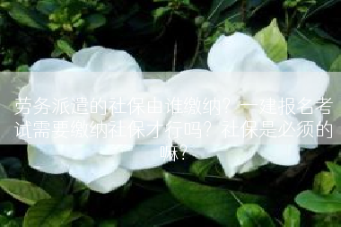 劳务派遣的社保由谁缴纳？一建报名考试需要缴纳社保才行吗？社保是必须的嘛？