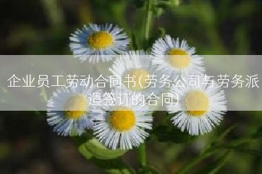 企业员工劳动合同书(劳务公司与劳务派遣签订的合同)