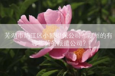 芜湖市鸠江区小额担保公司？郑州的有哪些劳务派遣公司？