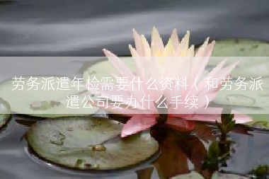 劳务派遣年检需要什么资料（和劳务派遣公司要办什么手续）