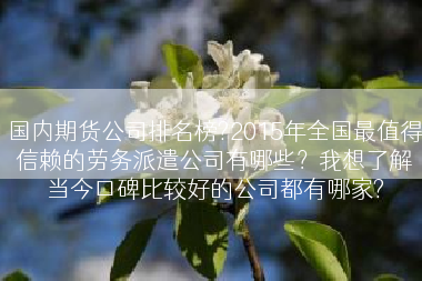 国内期货公司排名榜?2015年全国最值得信赖的劳务派遣公司有哪些？我想了解当今口碑比较好的公司都有哪家?
