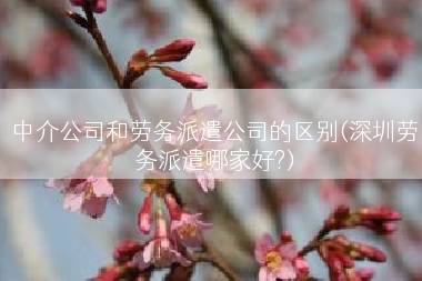 中介公司和劳务派遣公司的区别(深圳劳务派遣哪家好?)