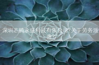 深圳志腾永盛科技有限公司?关于劳务派遣?