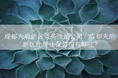 成都天府新区劳务派遣公司？成都天府新区代理社保公司有哪些？