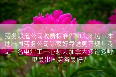 劳务派遣公司收费标准？山东潍坊市本地出国劳务公司哪家好靠谱更正规！我是一名电焊工一心想去加拿大多论多哪里最出国劳务最好？